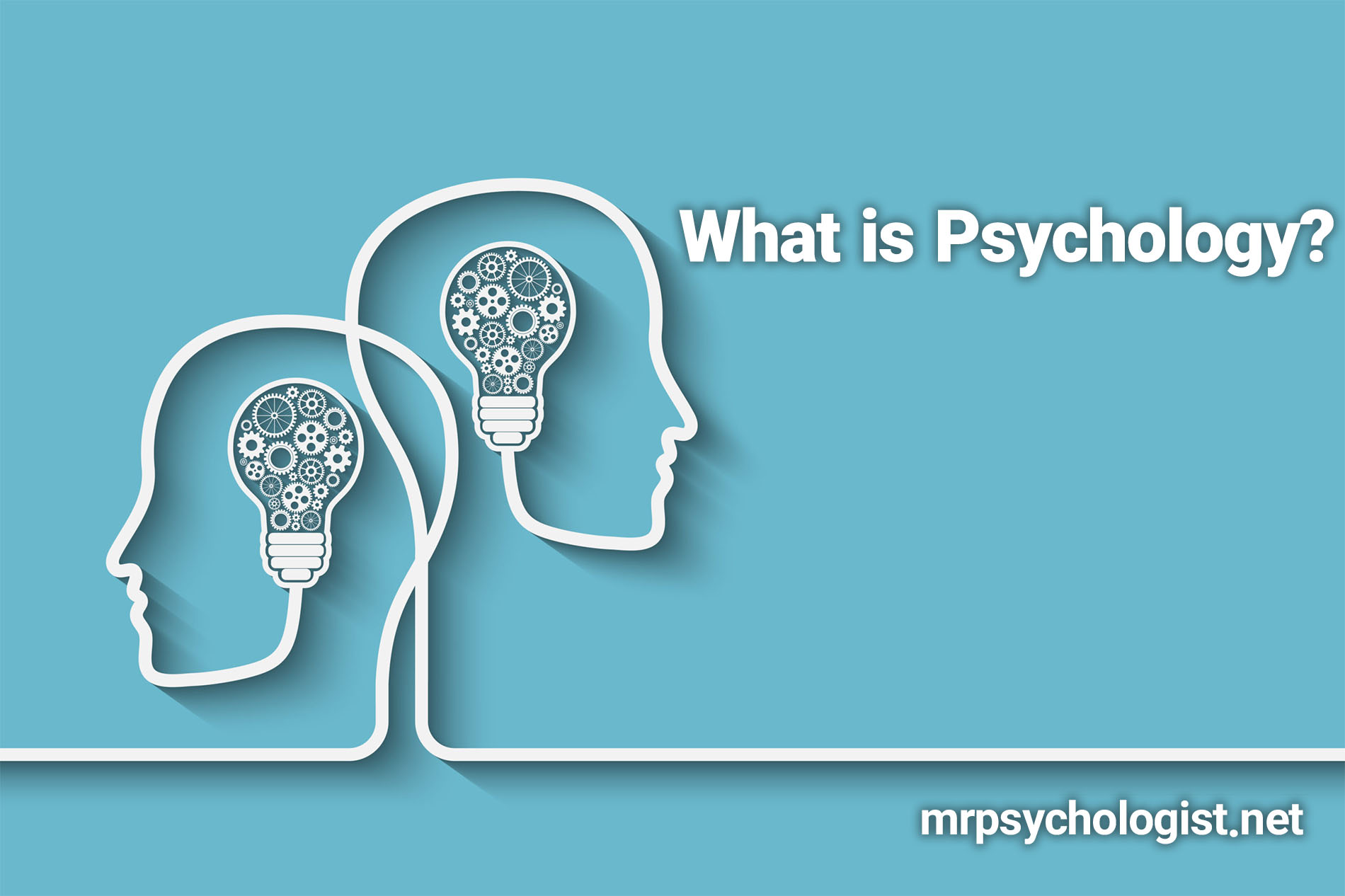 What Is Psychology 26 Major Branches Of Psychology Mr Psychologist