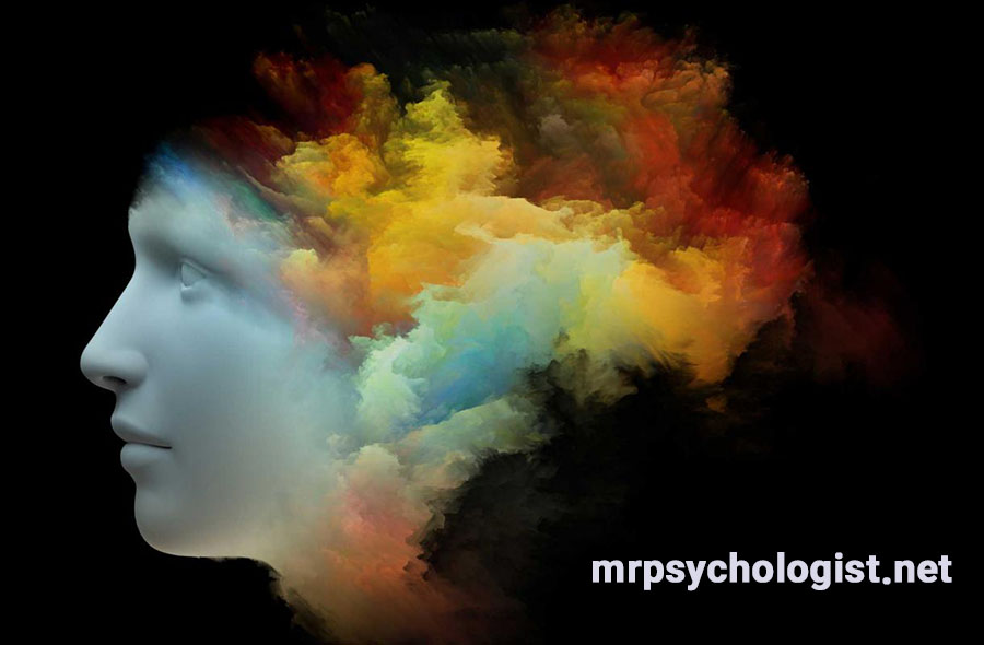 The major branches of psychology